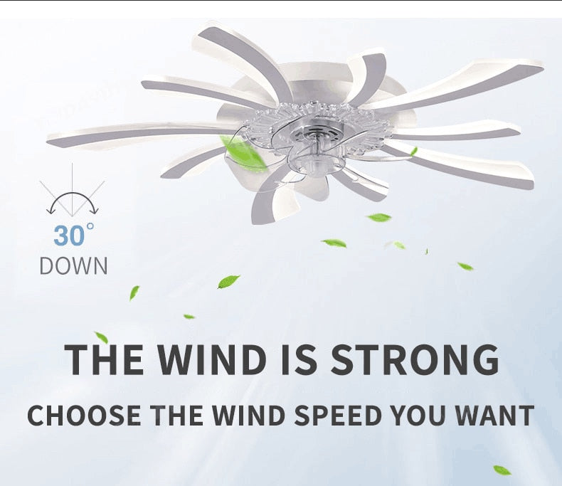 Leopold - Modern Remote Light Ceiling Fan 5 Blade