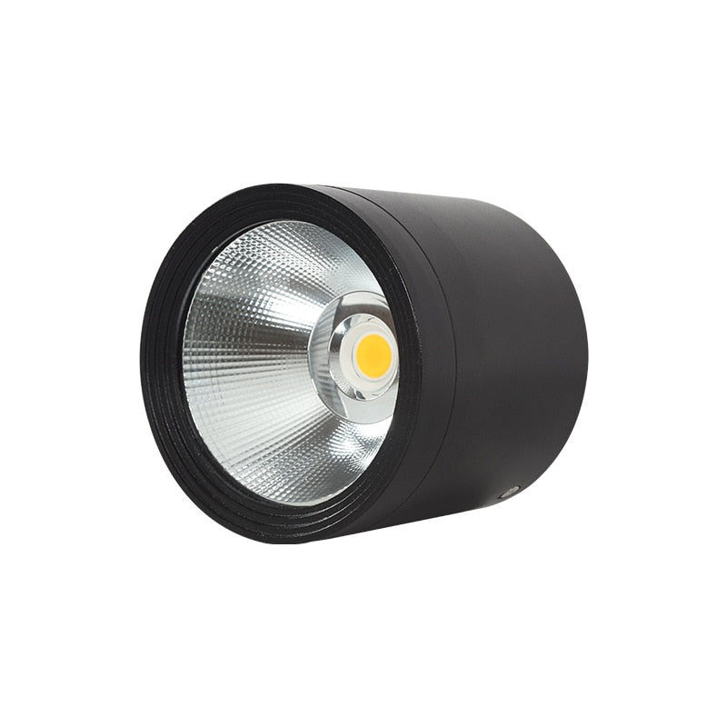 Itzel - Waterproof IP65 Flush Mount LED Outdoor Ceiling Downlight