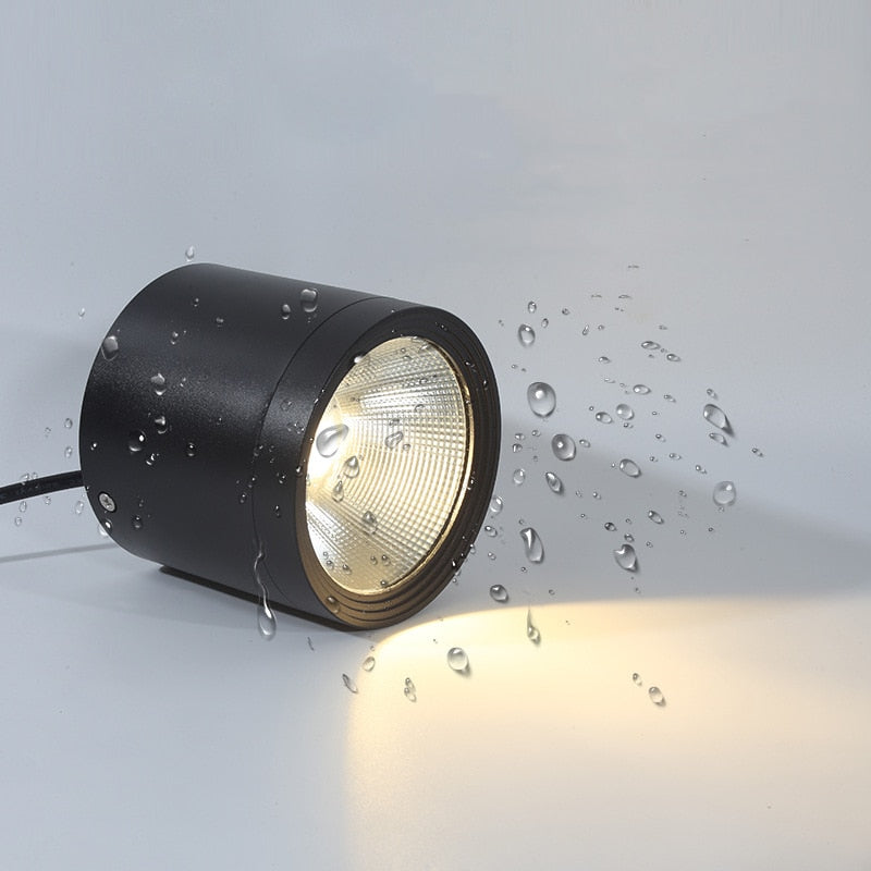 Itzel - Waterproof IP65 Flush Mount LED Outdoor Ceiling Downlight