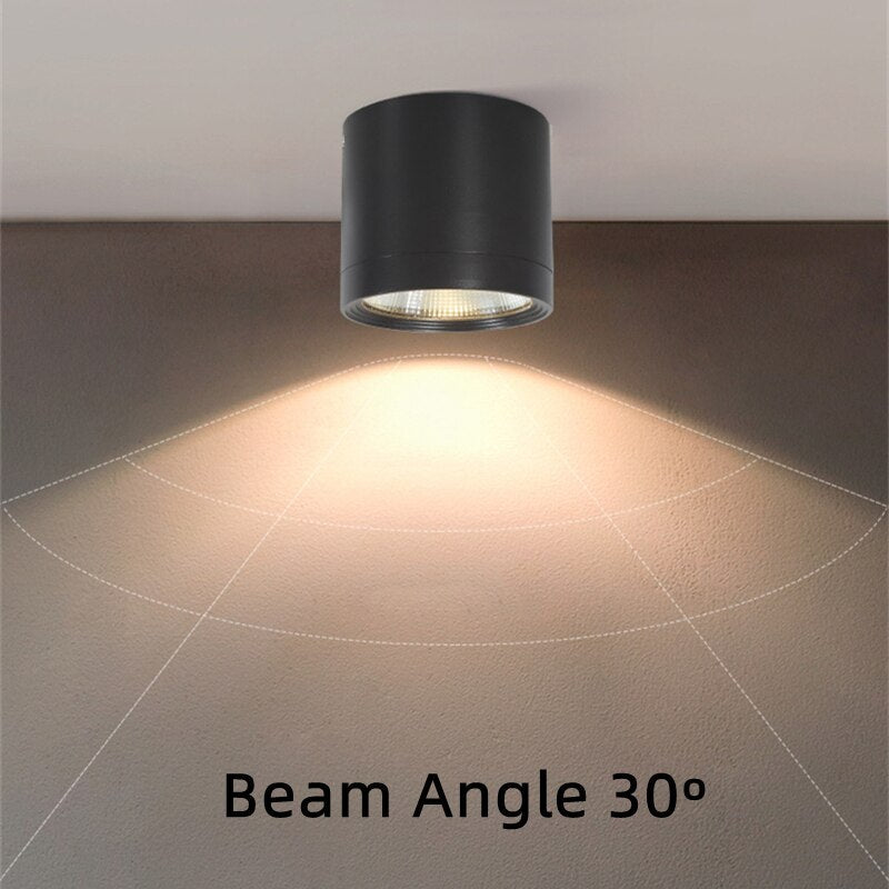 Itzel - Waterproof IP65 Flush Mount LED Outdoor Ceiling Downlight