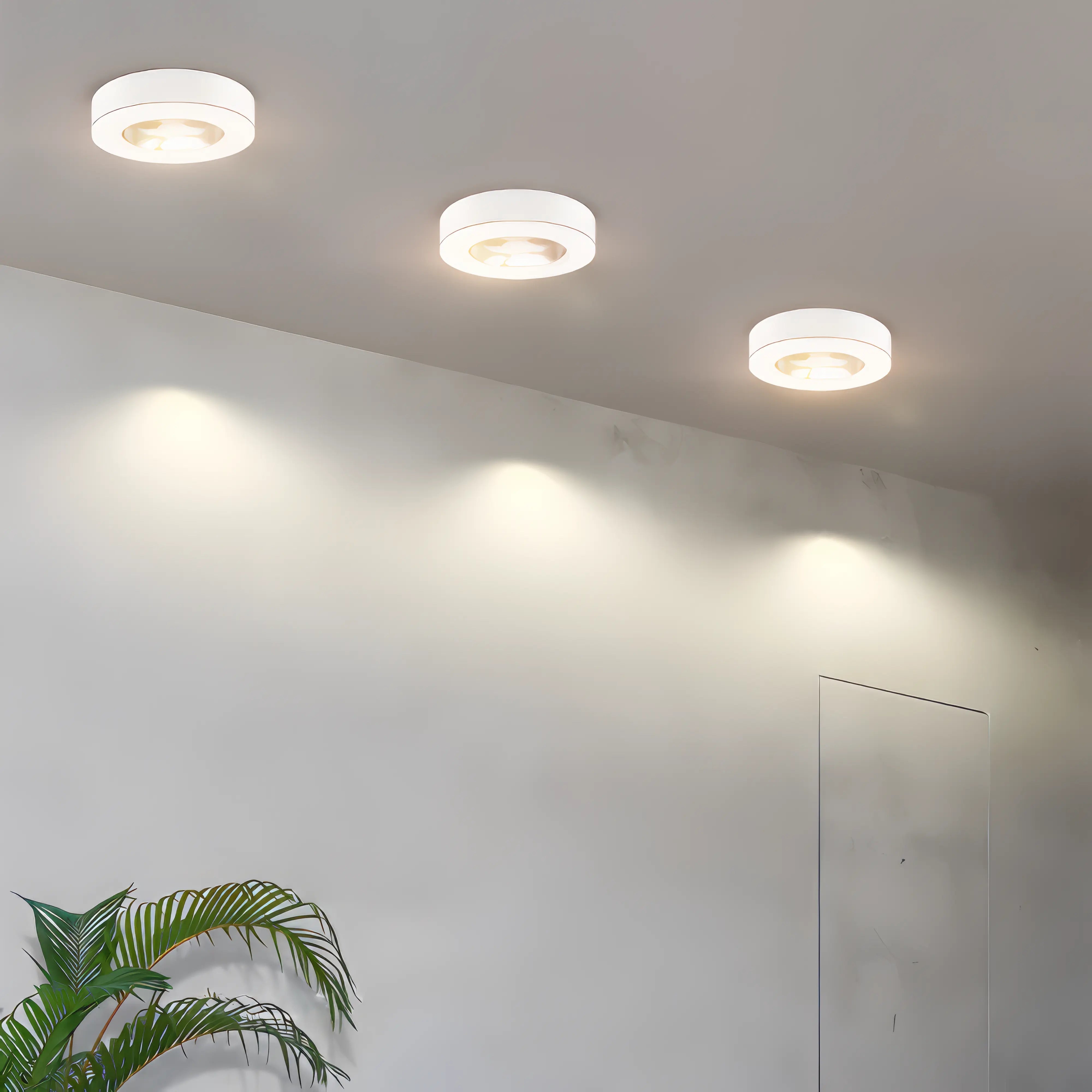 Ronnie - Modern Ceiling Spotlight LED Downlight Ultra Thin