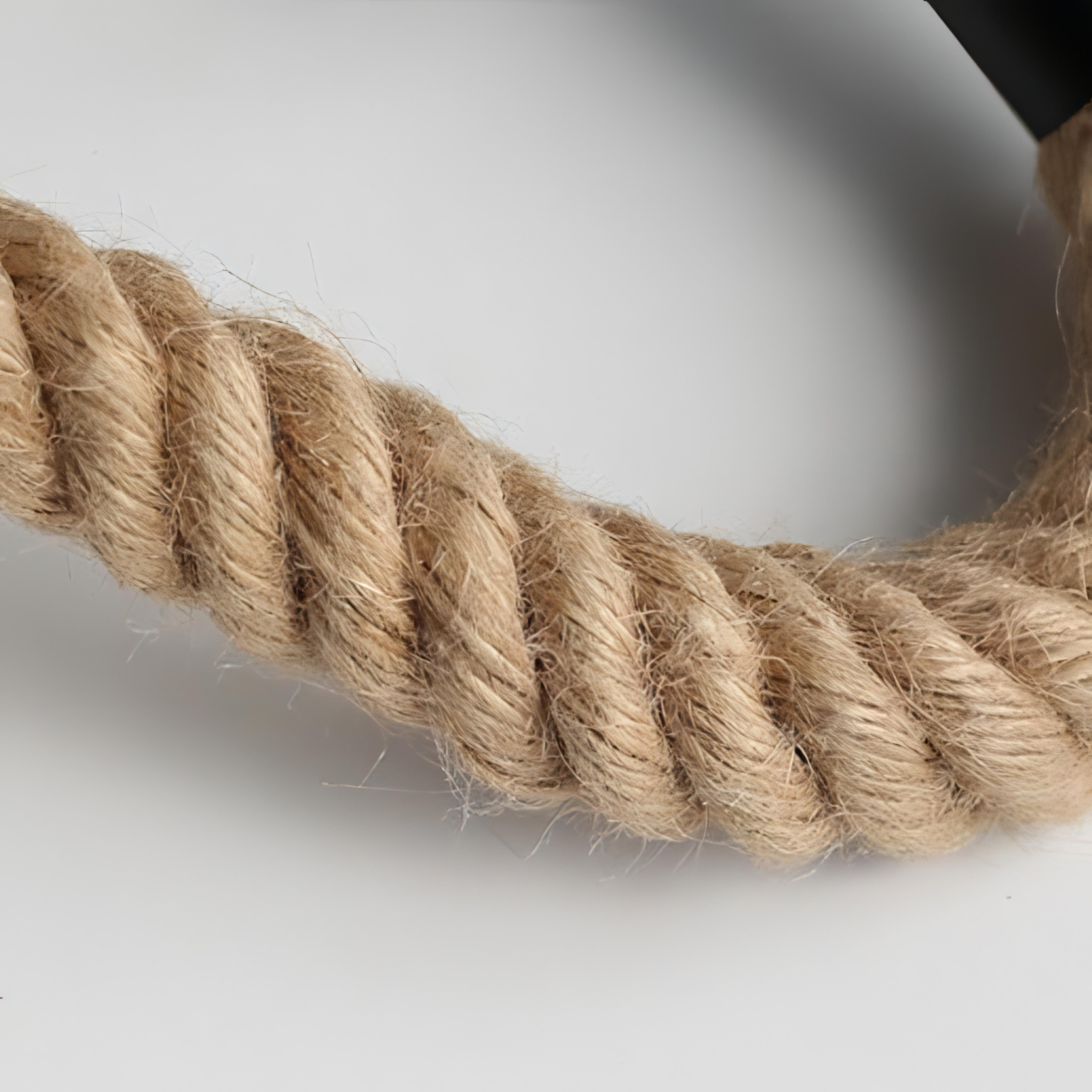 Truett - Curved Hemp Rope Black Wall Light