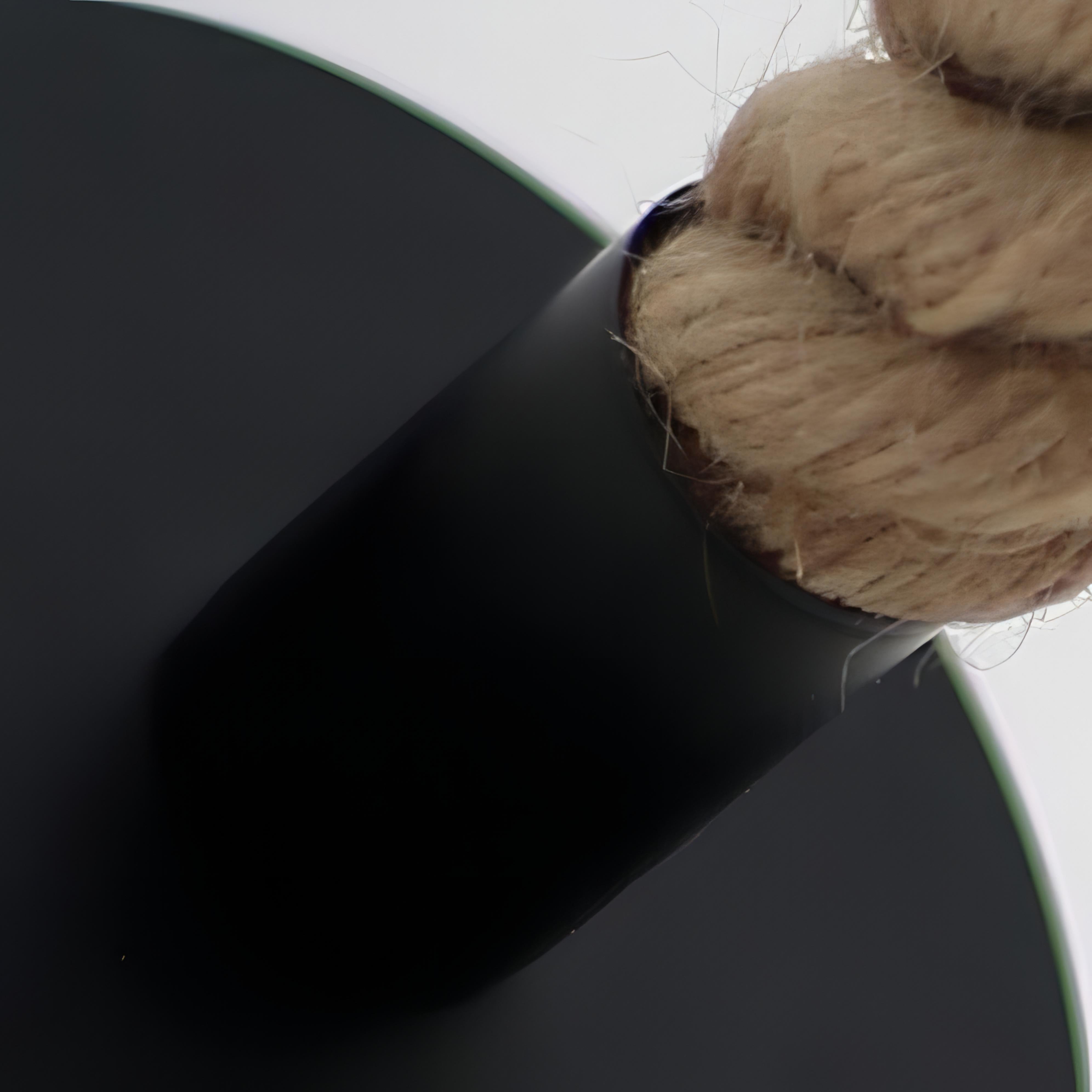 Truett - Curved Hemp Rope Black Wall Light