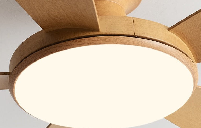 Umair - Nordic Light Ceiling Fan Remote Control