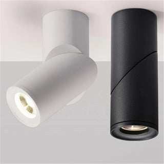 Salgado - LED Ceiling Downlight Dimmable Surface Mounted