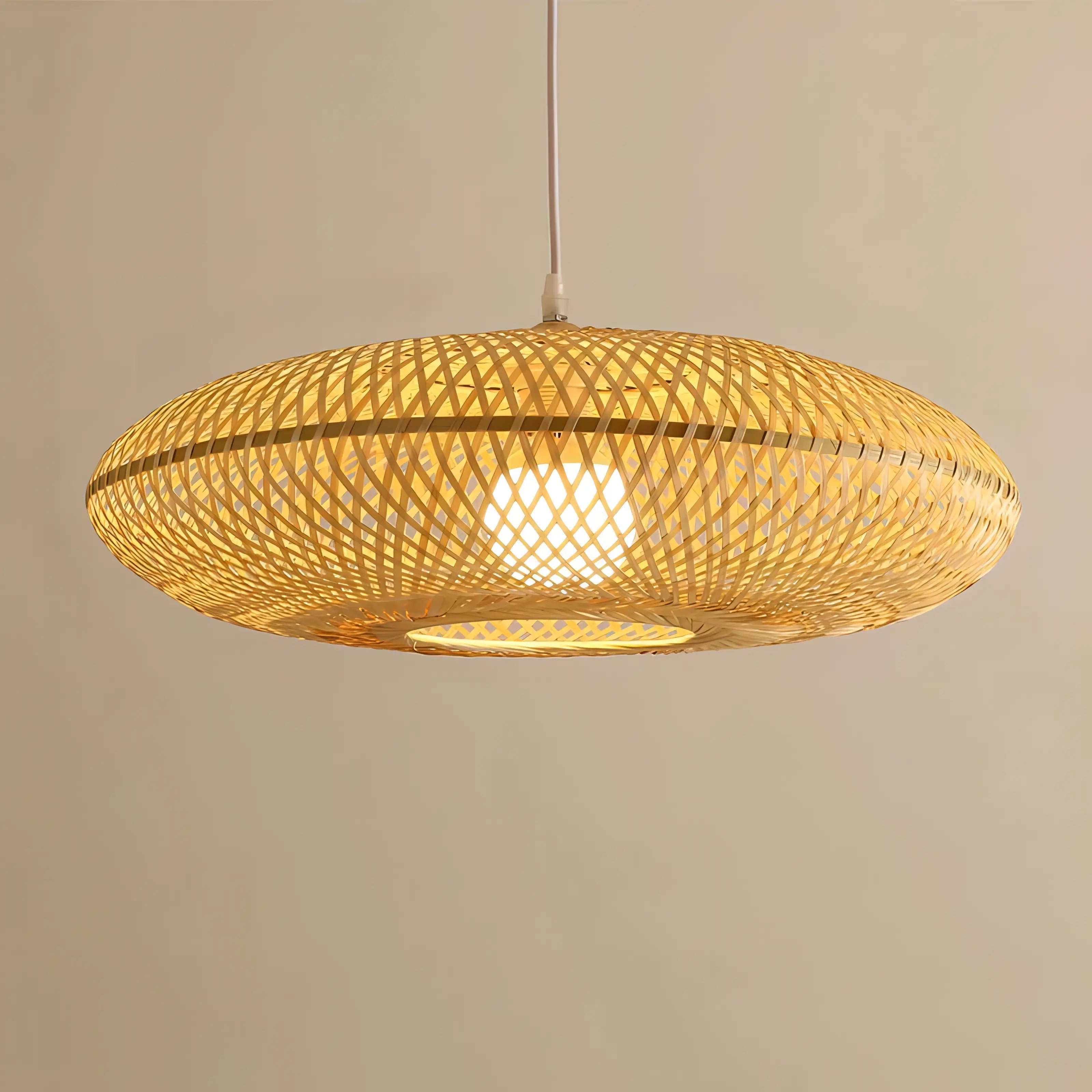 Clemencia - Handmade Rattan Woven Bamboo Oval Hanging Pendant Ceiling Light