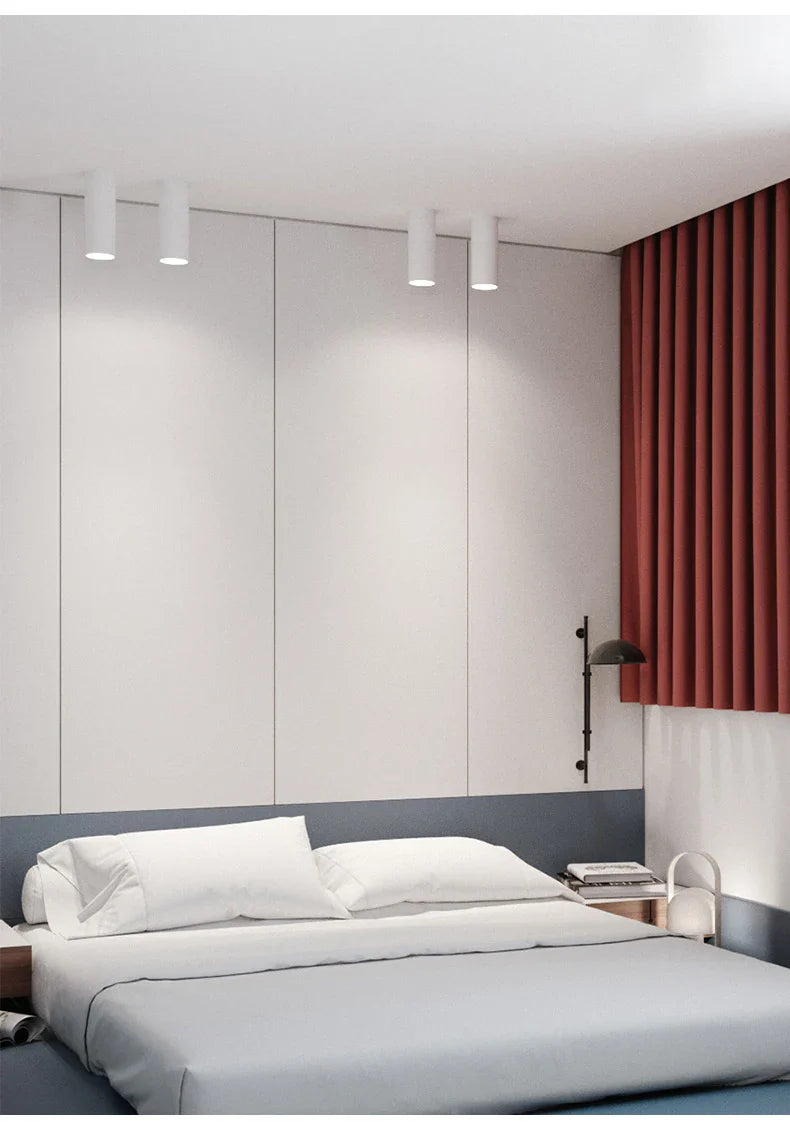 Abeba - Modern LED Long Tube Surface Mounted Spot Light