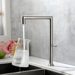 Jaylyn - Modern Single Handle Swivel Kitchen Tap