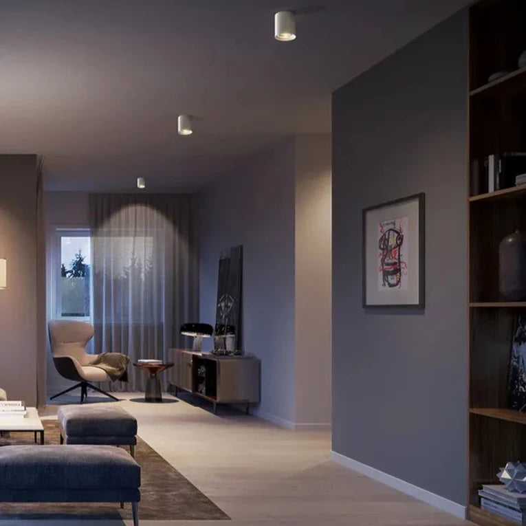 Stasia - Surface Mounted Modern Rotatable Ceiling Downlight