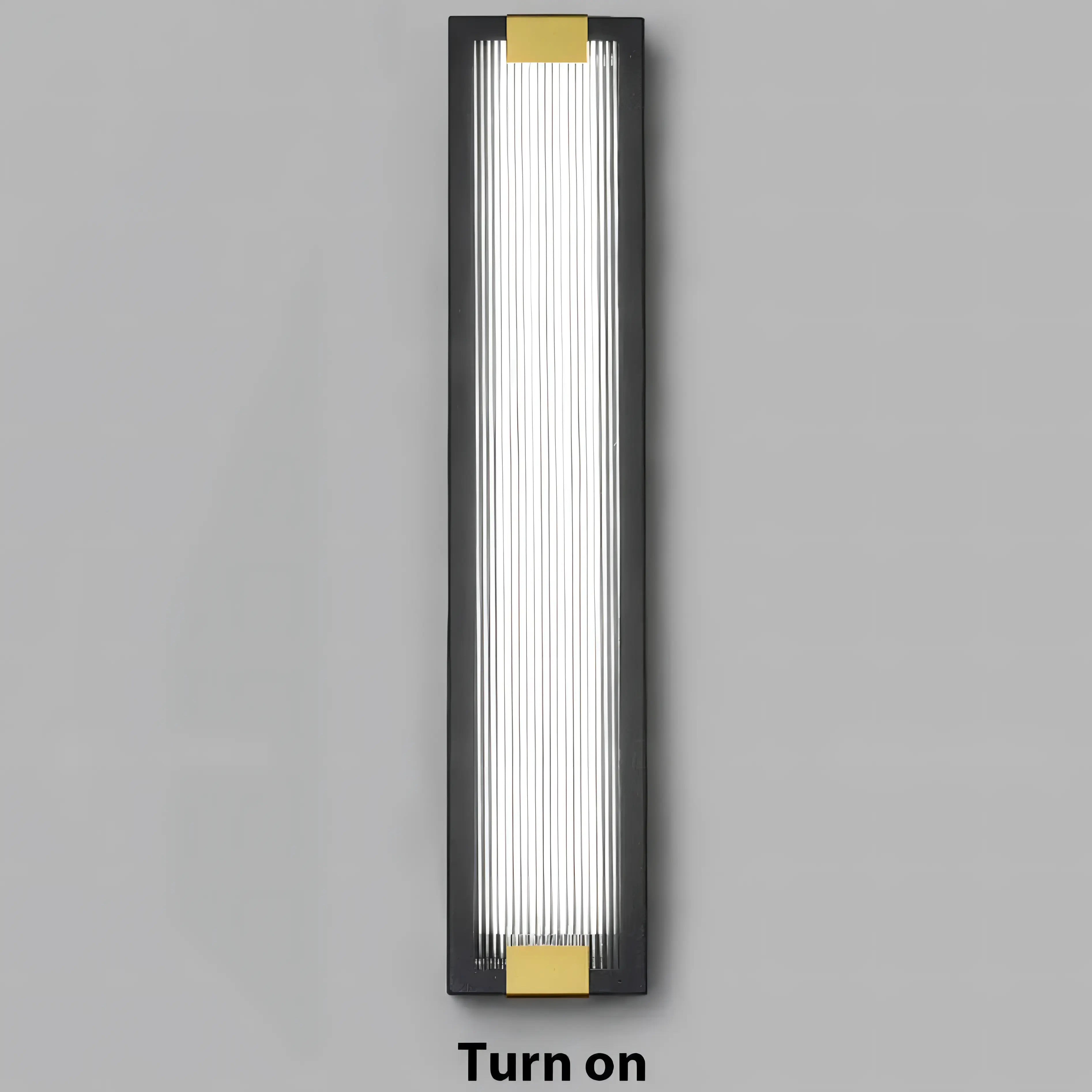 Barrios - Stainless Steel Rectangular Acrylic Outdoor Wall Light