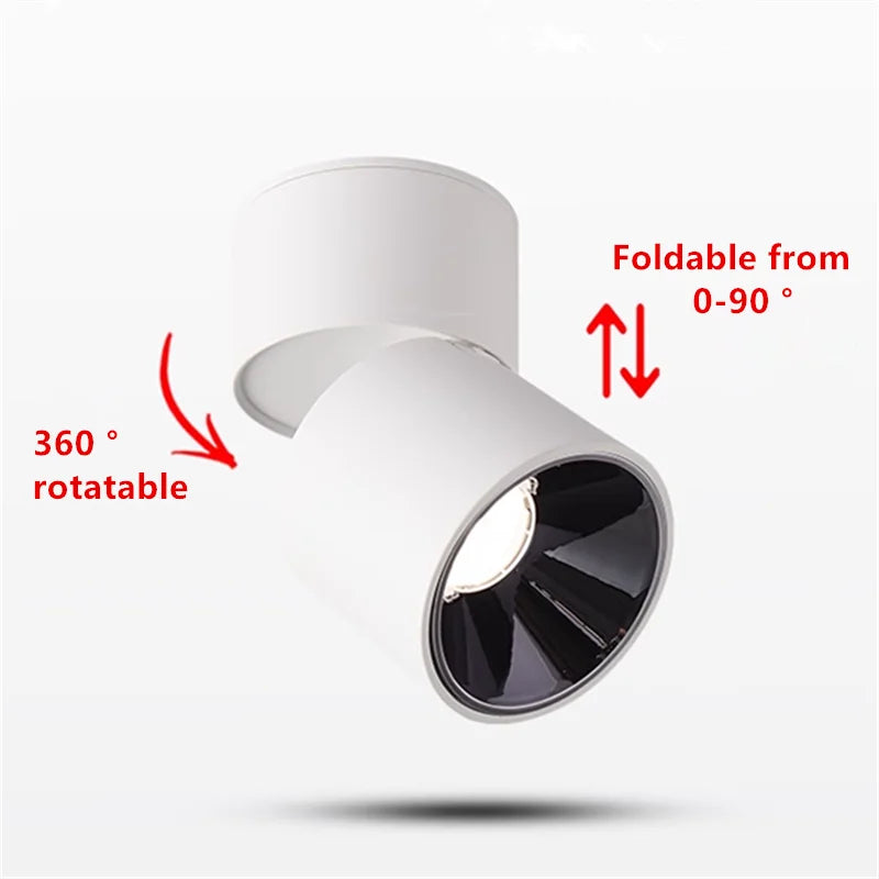 Muireann - Modern Surface Mounted Dimmable LED Ceiling Downlight