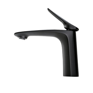 Ashely - Modern Single Handle Hot & Cold Water Bathroom Tap