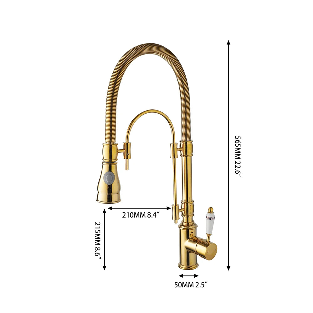 Ryann - Modern Gold Finish Coil Spring Swivel Kitchen Tap