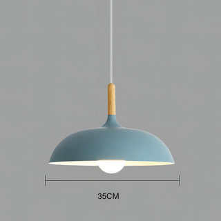 Randoe - Nordic Modern Nordic Round Dish Pendant Ceiling Light