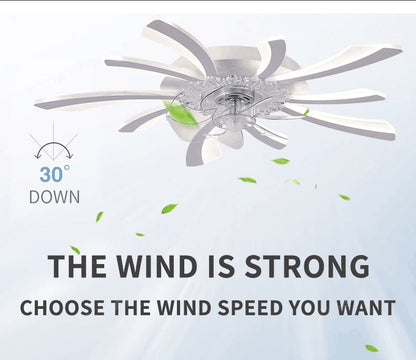 Leopold - Modern Remote Light Ceiling Fan 5 Blade
