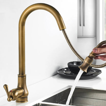 Monroy - Brass Single Hole Single Lever Pull Out Kitchen Tap