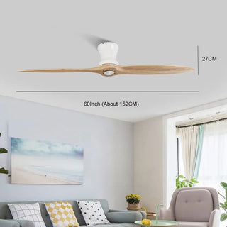 Tasia - 60Inch 2 Blade Modern Ceiling Fan