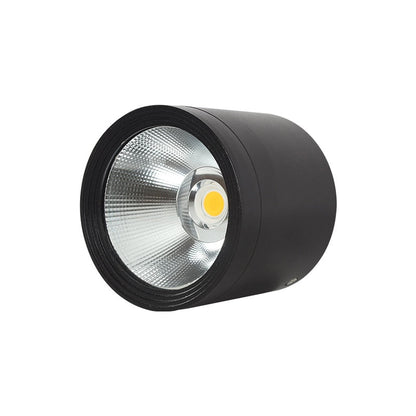 Itzel - Waterproof IP65 Flush Mount LED Outdoor Ceiling Downlight