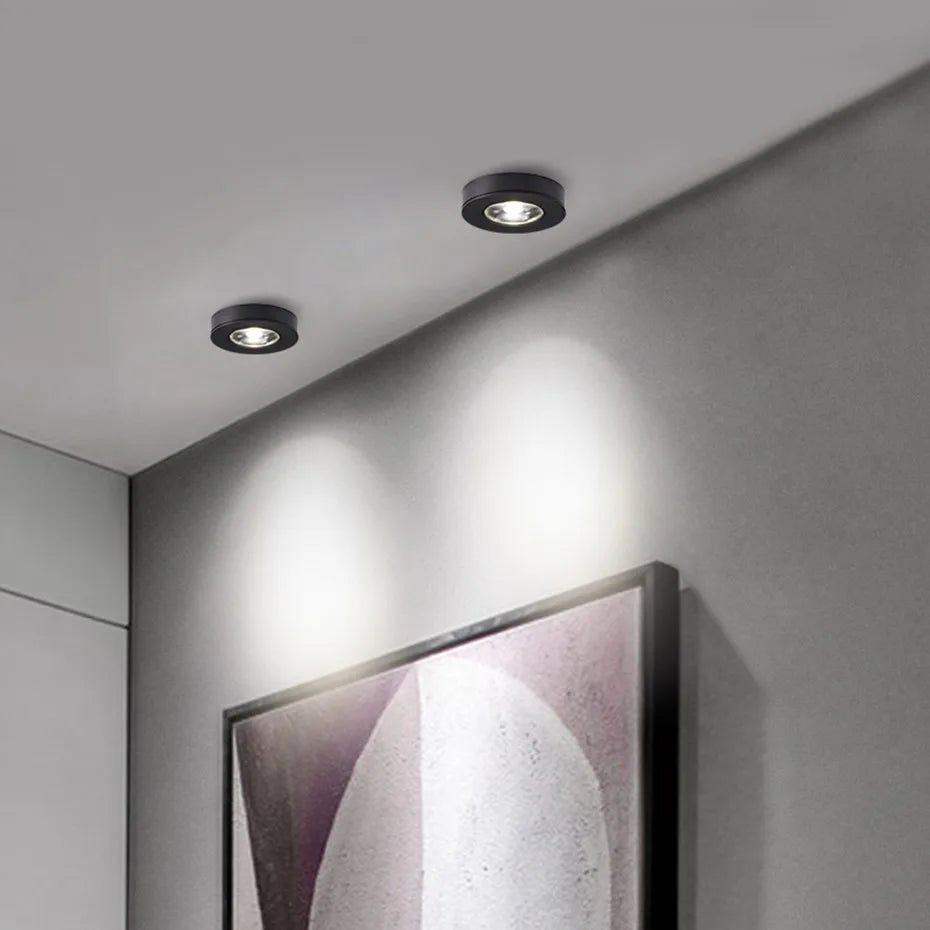 Ronnie - Modern Ceiling Spotlight LED Downlight Ultra Thin
