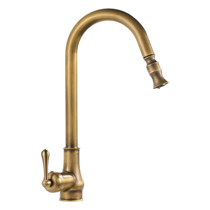 Monroy - Brass Single Hole Single Lever Pull Out Kitchen Tap