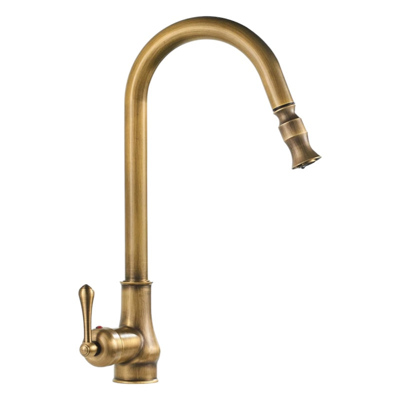 Monroy - Brass Single Hole Single Lever Pull Out Kitchen Tap