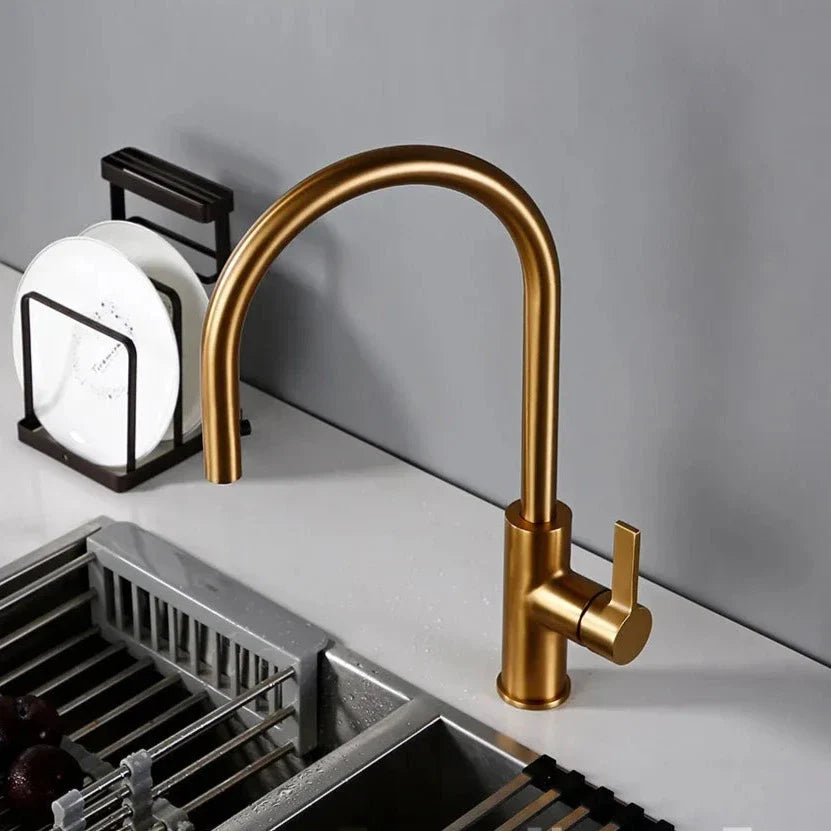 Renner - Modern Gold Brass Swivel Single Handle Kitchen Mixer Tap