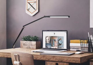 Rodriguez - Long Arm Adjustable LED Desk Office Light