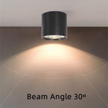 Itzel - Waterproof IP65 Flush Mount LED Outdoor Ceiling Downlight