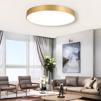 Maltheia - Thin LED Round Flush Mount Remote Ceiling Light