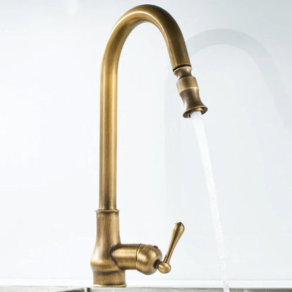 Monroy - Brass Single Hole Single Lever Pull Out Kitchen Tap