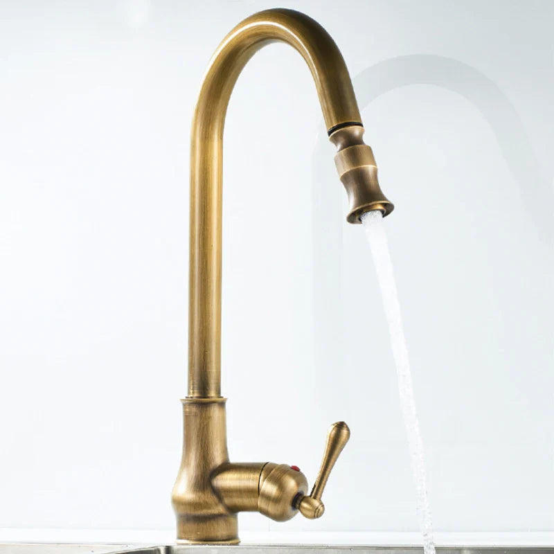 Monroy - Brass Single Hole Single Lever Pull Out Kitchen Tap
