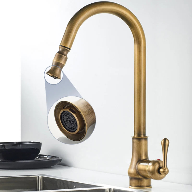 Monroy - Brass Single Hole Single Lever Pull Out Kitchen Tap
