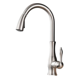 Santino - Kitchen Single Handle Pull Out Swivel Mixer Tap
