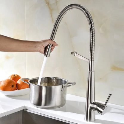 Dajuan - Swivel Spring Pull Down Sprayer Kitchen Mixer Tap
