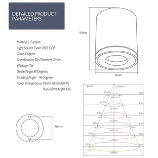 Shaina - Copper Flush Mount Downlight LED Ceiling Light