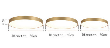 Maltheia - Thin LED Round Flush Mount Remote Ceiling Light