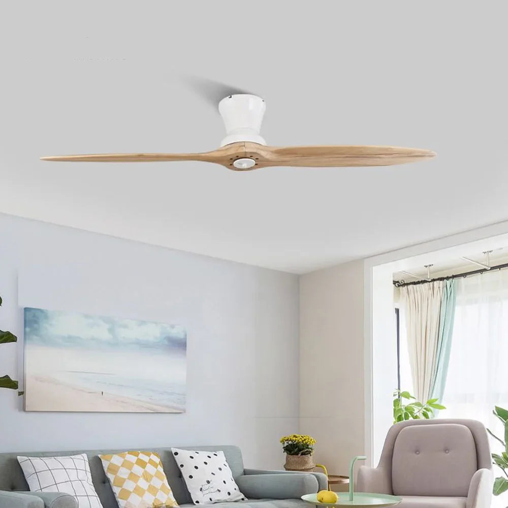 Tasia - 60Inch 2 Blade Modern Ceiling Fan