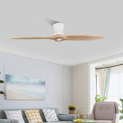 Tasia - 60Inch 2 Blade Modern Ceiling Fan