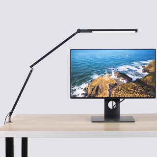 Rodriguez - Long Arm Adjustable LED Desk Office Light