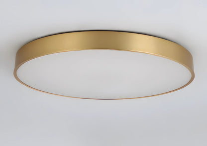 Maltheia - Thin LED Round Flush Mount Remote Ceiling Light