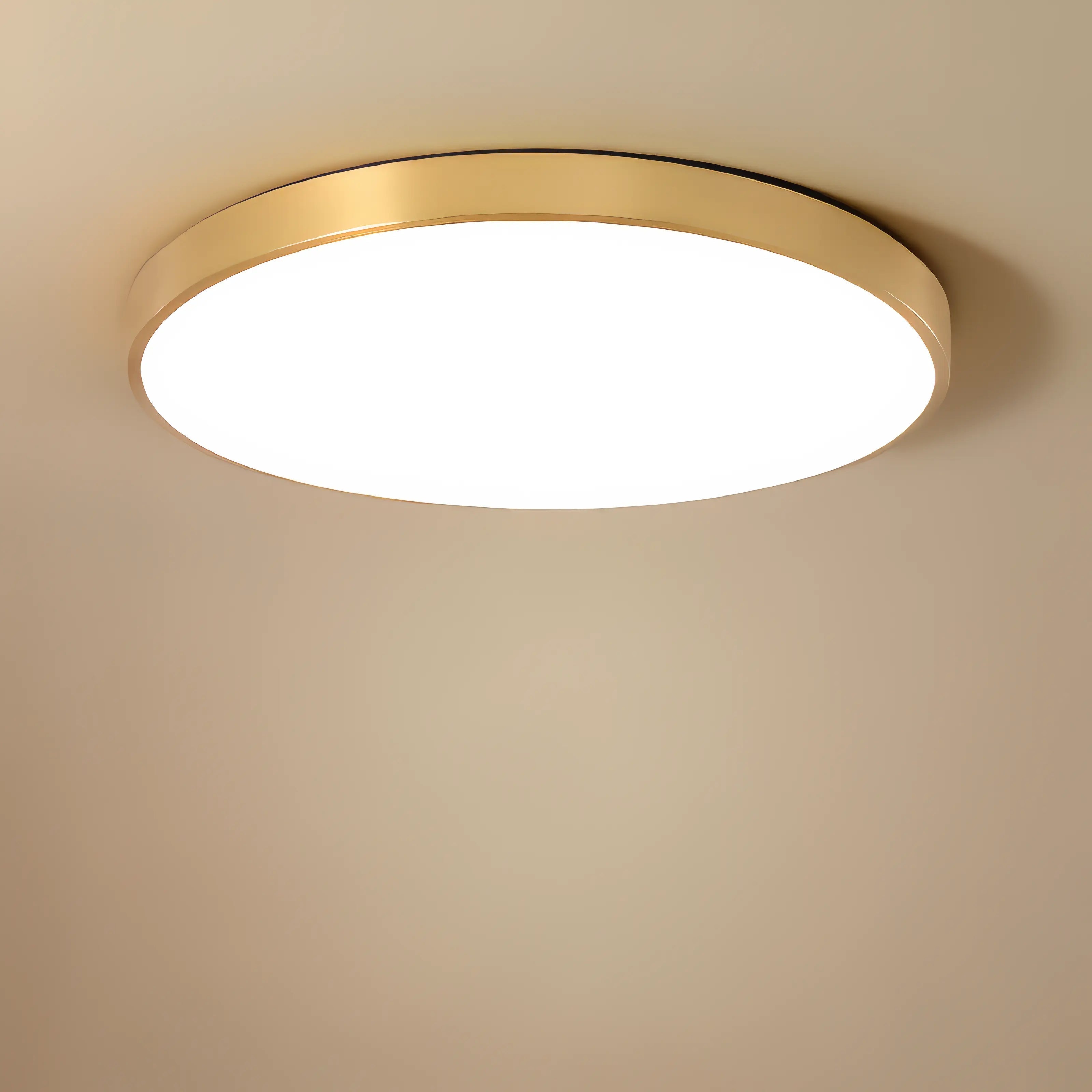 Maltheia - Thin LED Round Flush Mount Remote Ceiling Light