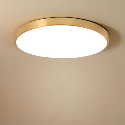 Maltheia - Thin LED Round Flush Mount Remote Ceiling Light