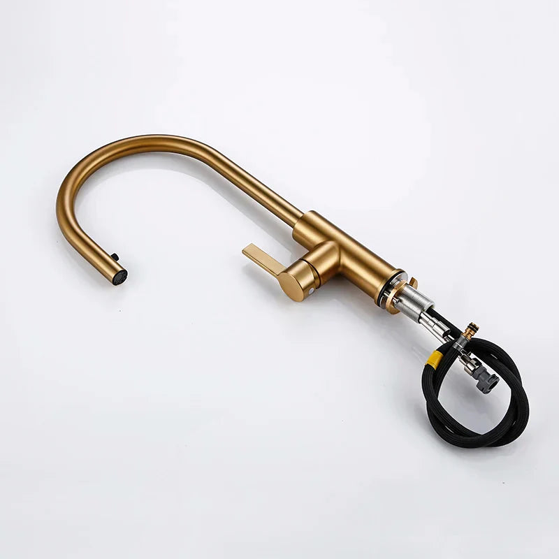 Renner - Modern Gold Brass Swivel Single Handle Kitchen Mixer Tap