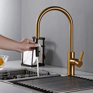 Renner - Modern Gold Brass Swivel Single Handle Kitchen Mixer Tap