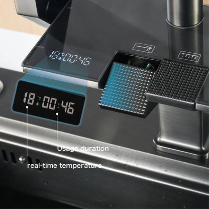 Lucas - Smart Digital Display Pull Out Sprayer Kitchen Tap