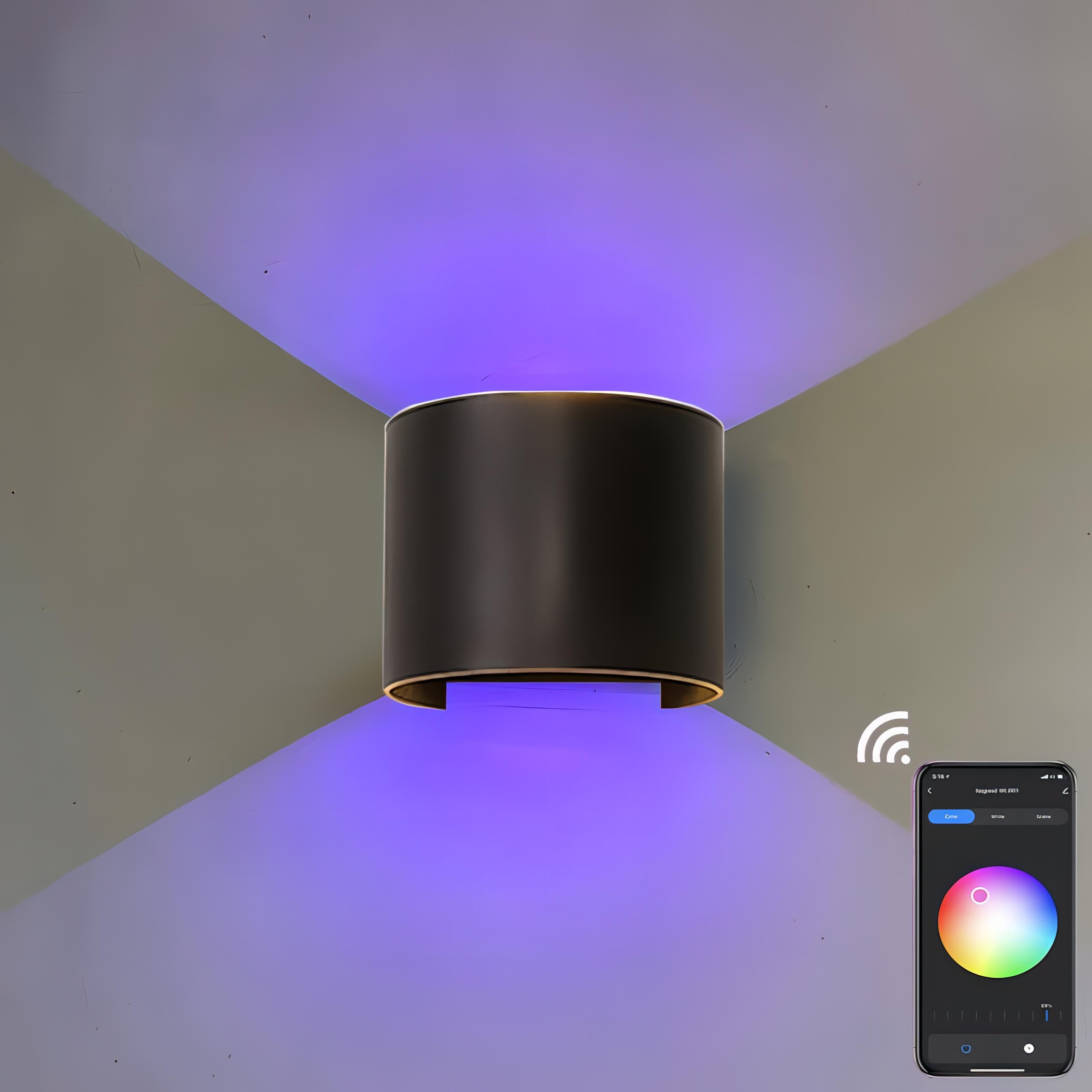 Albus - Semicircle Waterproof Black Outdoor RGB APP Controlled Wall Light