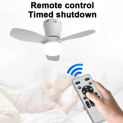 Marlene - Modern Ceiling Fan with Integrated Round Light