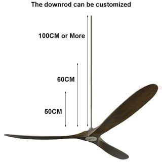 Ritchey - 60Inch 2 Blade Modern Silent Wooden Ceiling Fan with Remote Control