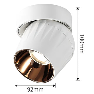 Emerson - Modern Adjustable Dimmable Flush Mount Ceiling Spotlight