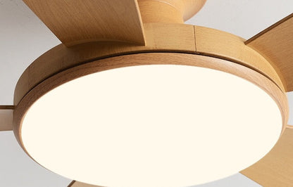 Umair - Nordic Light Ceiling Fan Remote Control